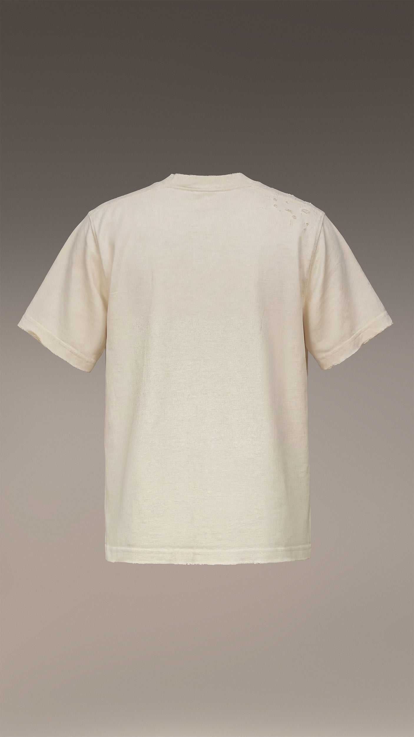 RAW GRAPHITE T-Shirt - T37191