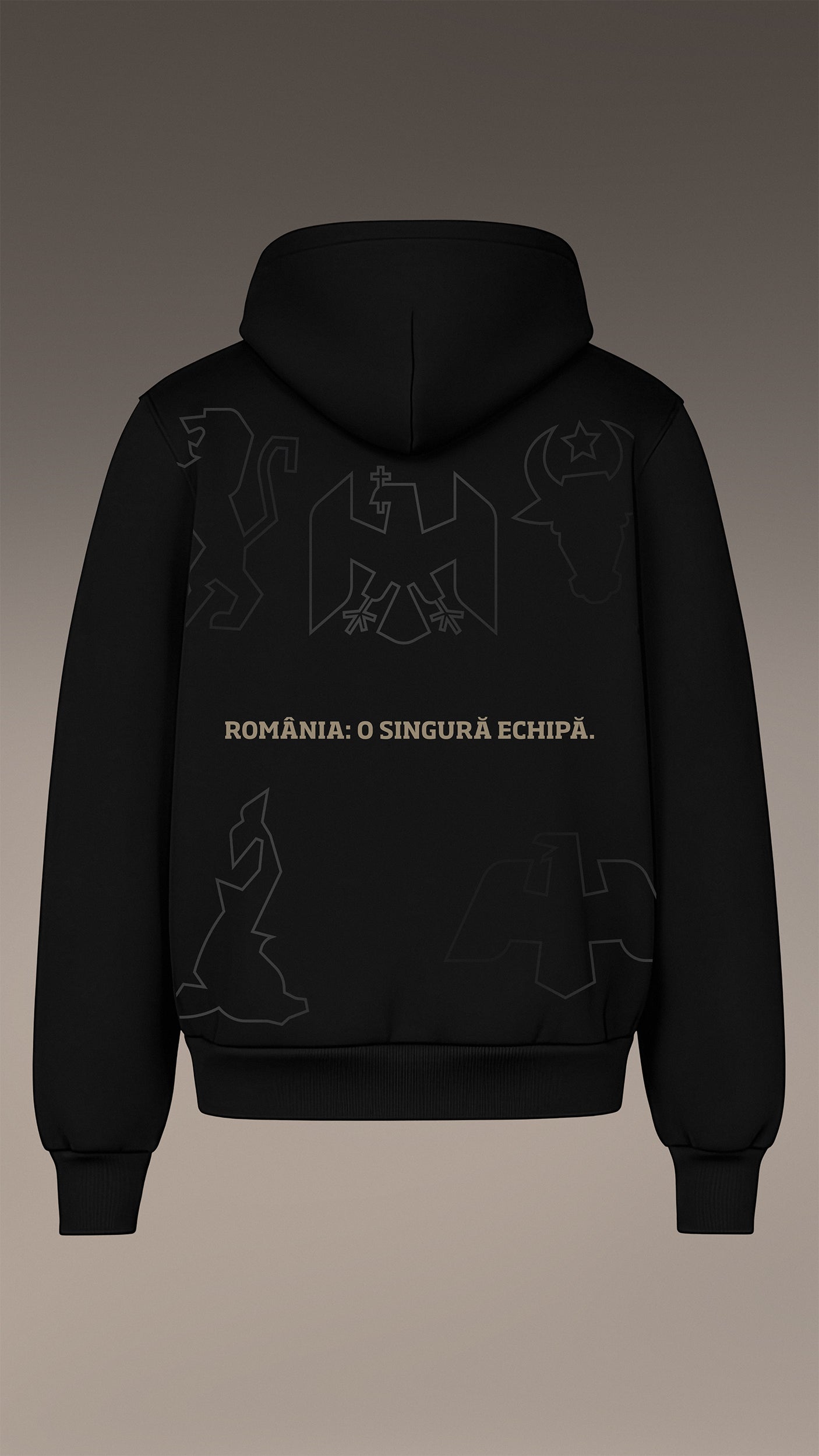 MBS x Romania Hoodie - One Team - H17251