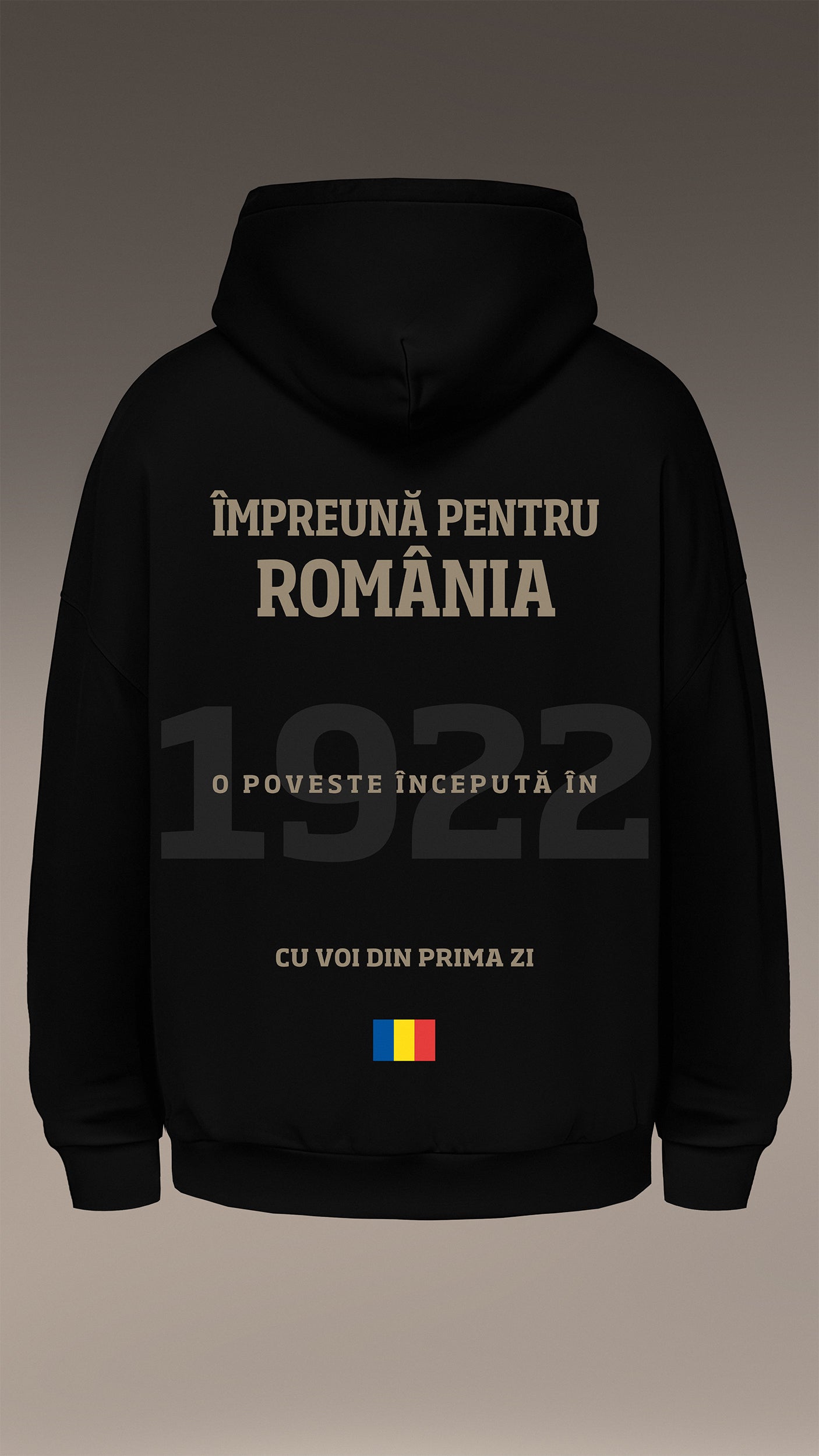 MBS x Romania 1922 Hoodie - H17247