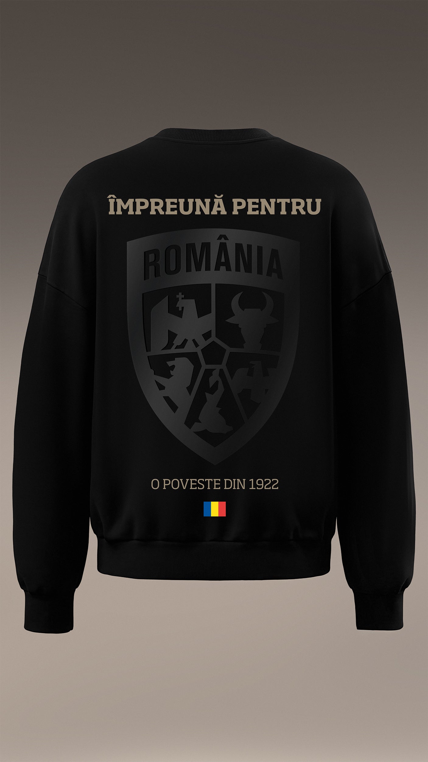 MBS x Romania Hoodie – Pride. Emotion. Unity - H17243